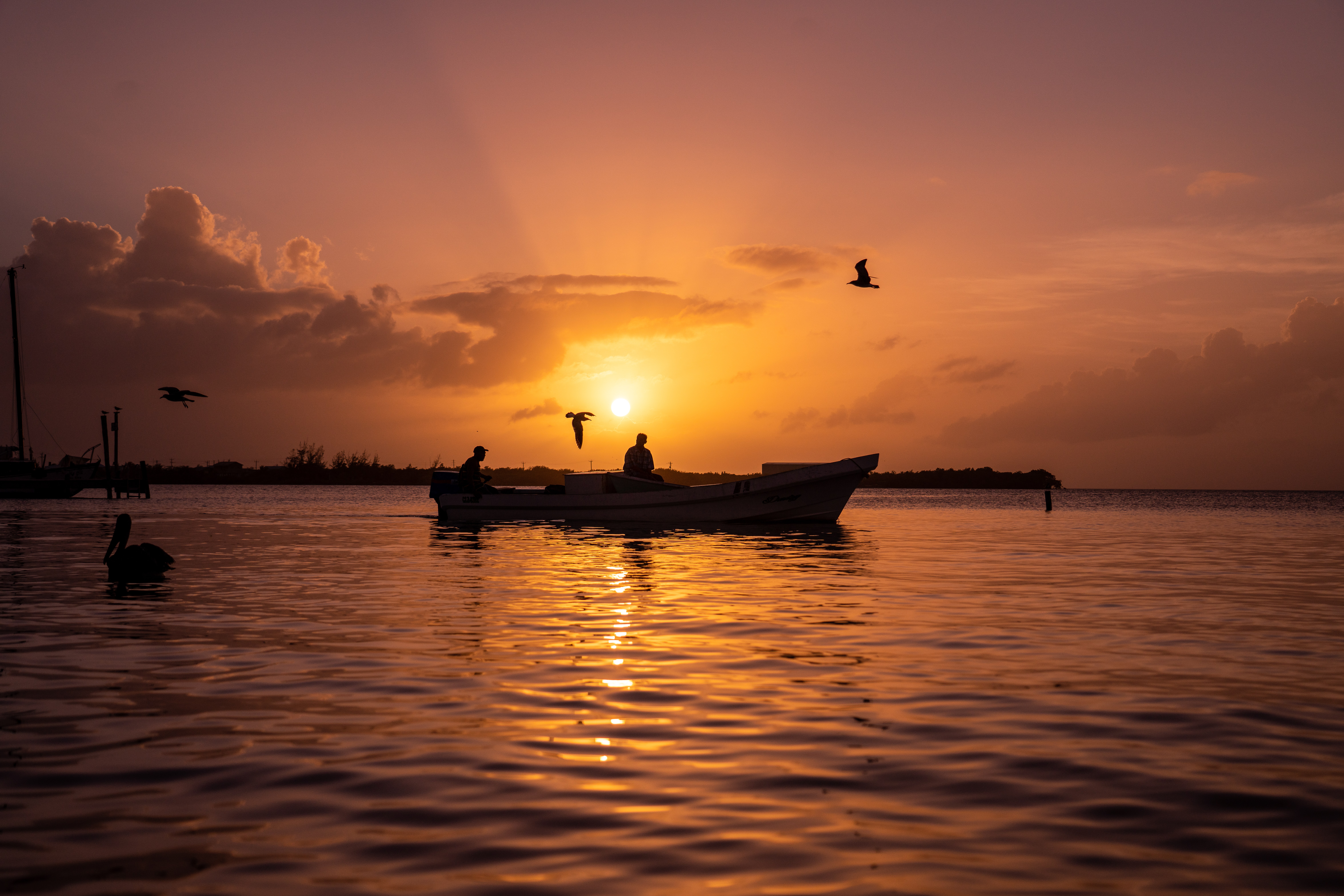 Harvest Caye Belize