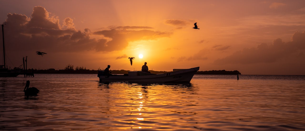 Harvest Caye Belize