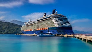 Celebrity Silhouette