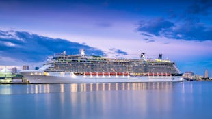 Celebrity Reflection