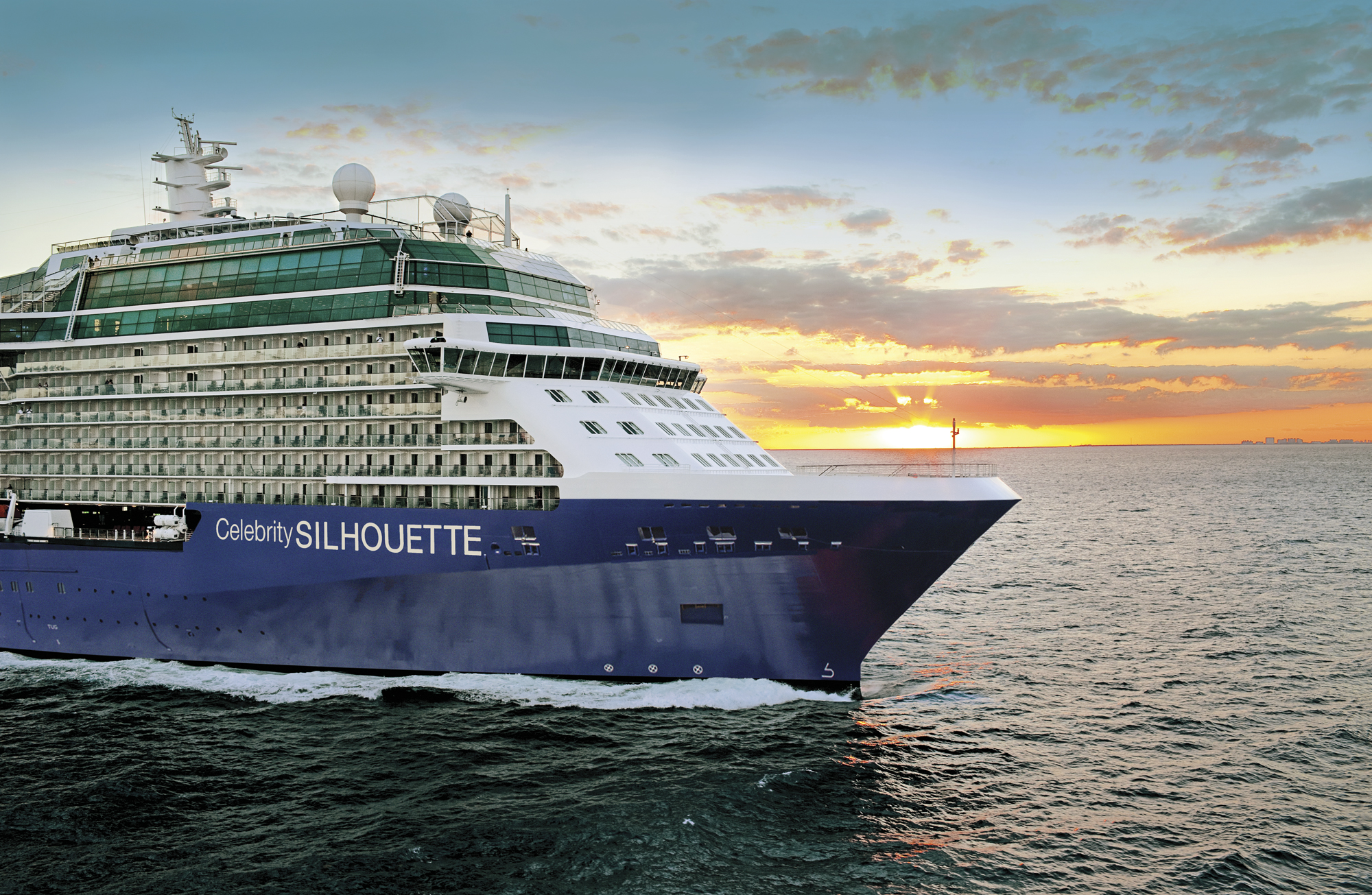 Celebrity Silhouette