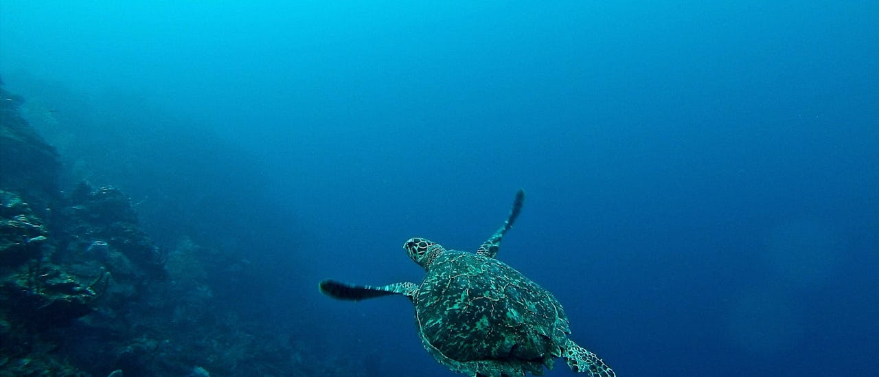 Roatan, Honduras