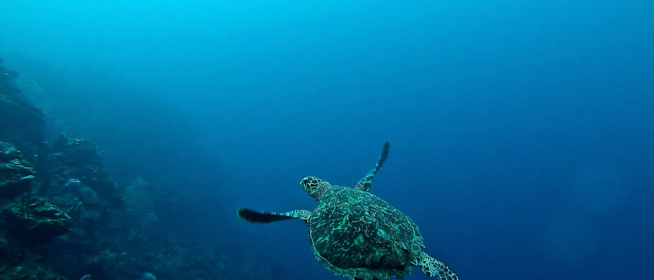 Roatan, Honduras