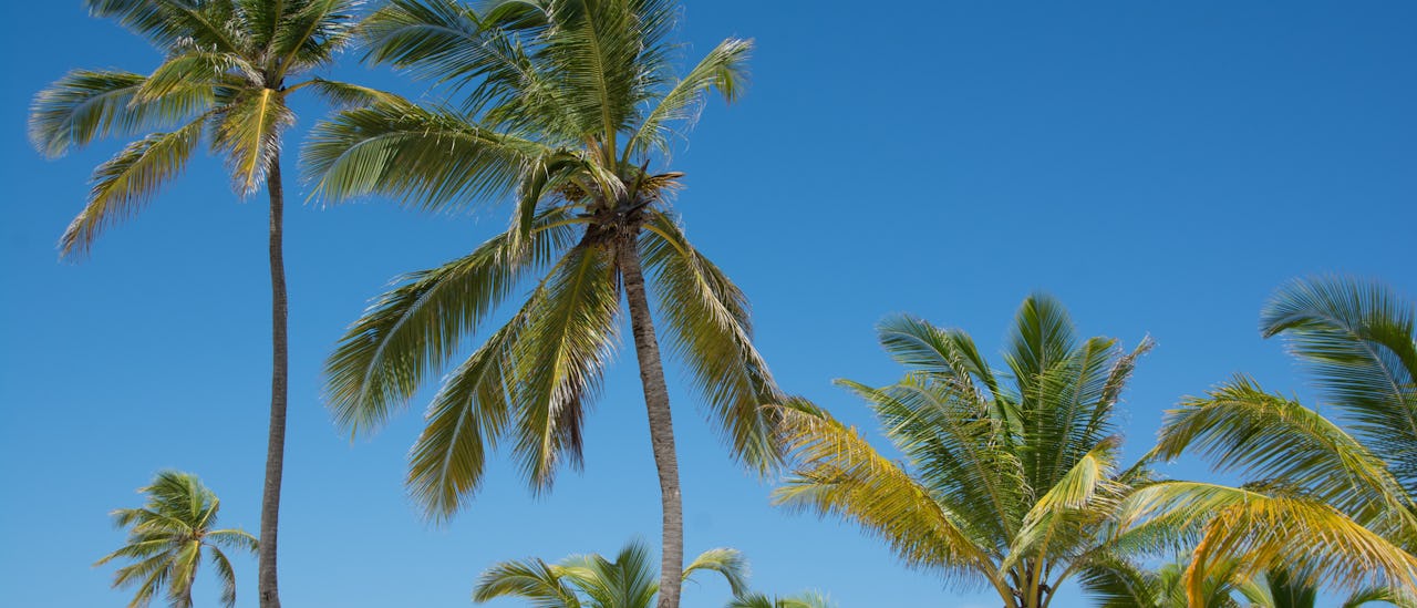 Punta Cana, Dominikaaninen tasavalta