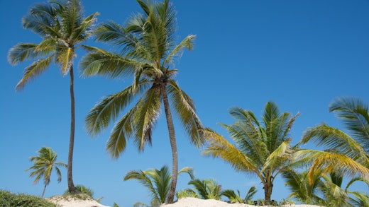 Punta Cana, Dominikaaninen tasavalta