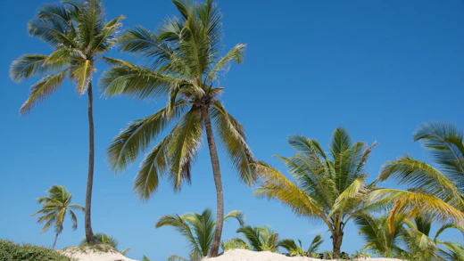 Punta Cana, Dominikaaninen tasavalta